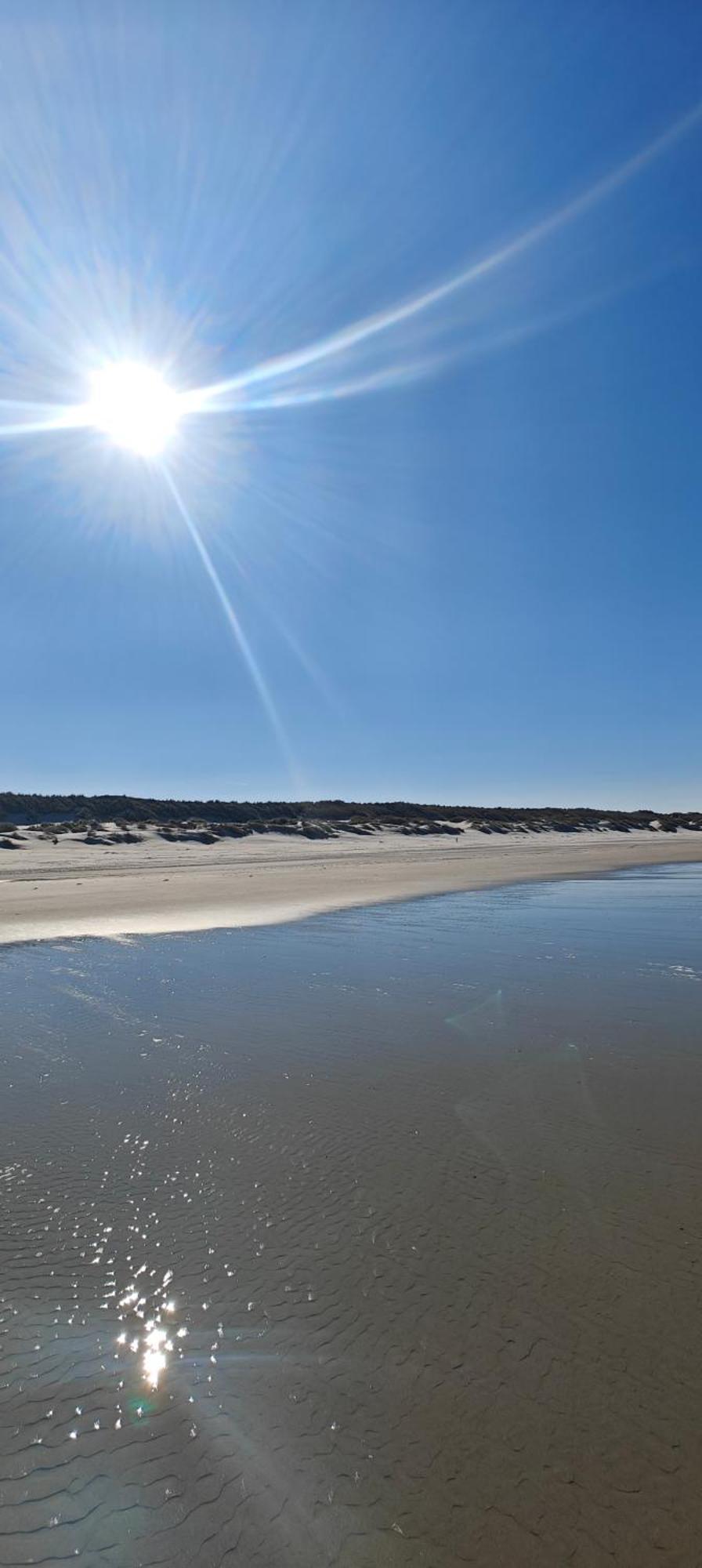 Pension Bakema Ameland Nes  Eksteriør bilde
